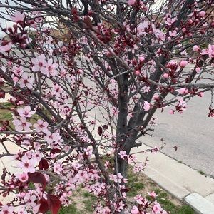 Meet your Posher, Marette